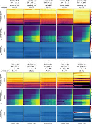 Studying the Evolution of Neural Activation Patterns During Training of Feed-Forward ReLU Networks